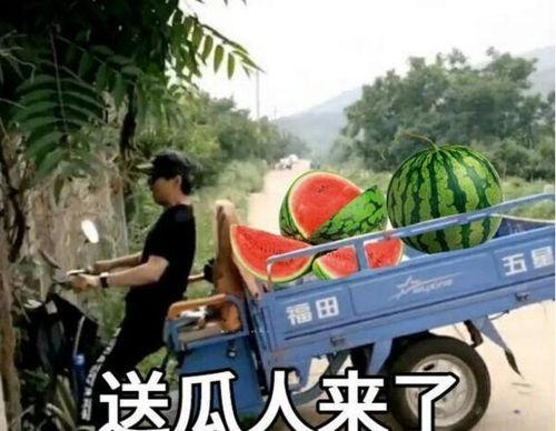 最近大瓜事件,揭秘明星隐私风波背后的真相-第1张图片-精品欧洲AV无码