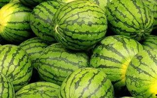 吃瓜网官网免费观看 吃瓜网官网,免费观看，畅享娱乐盛宴-第2张图片-精品欧洲AV无码