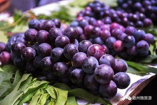 国产葡萄测评视频大全,品鉴各大品种，解锁美味新体验-第3张图片-精品欧洲AV无码