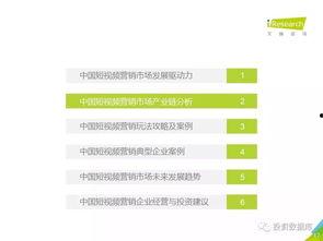 国产短视频营销价位分析,揭秘行业趋势与策略-第2张图片-精品欧洲AV无码