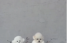 Jizz护士国产大全视频动态图,揭秘护士界激情瞬间-第3张图片-精品欧洲AV无码