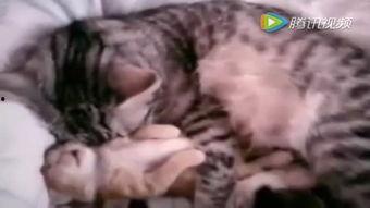 国产爆笑视频全集,欢乐无限，笑点爆棚-第3张图片-精品欧洲AV无码