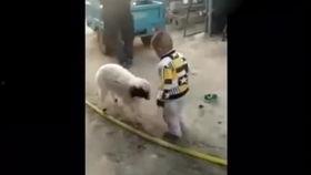 美国产房搞笑事件大全视频,搞笑事件大盘点-第3张图片-精品欧洲AV无码