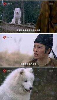 国产剧中的尴尬场面视频,笑料百出，尴尬至极-第2张图片-精品欧洲AV无码