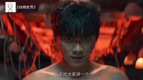 国产高分电影分享视频在线观看,在线观看，尽享视听盛宴-第3张图片-精品欧洲AV无码